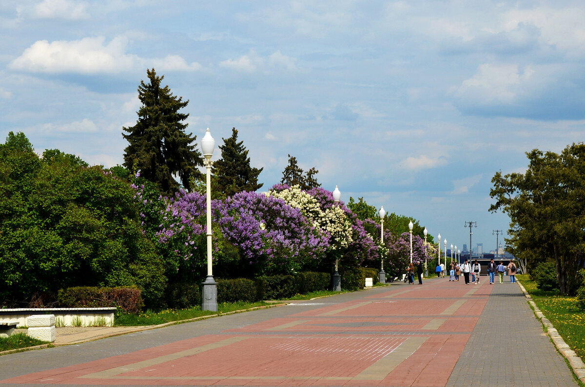 Весенняя Москва. Воробьевы горы. - Наташа ***** Весенняя Москва. Воробьевы горы. - Наташа *****