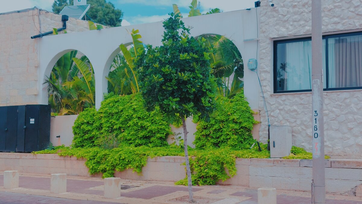 13  ОПЕН (44) - OPEN WAYS ALL