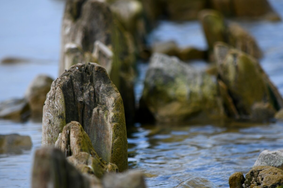 У самого синего моря)) - Татьяна Евдокимова У самого синего моря)) - Татьяна Евдокимова
