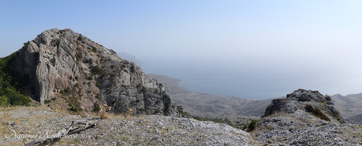 Природа Крыма - Amazing Cosmea Природа Крыма - Amazing Cosmea