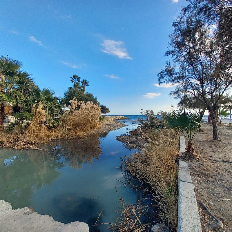 Заливчик - Oleg4618 Шутченко