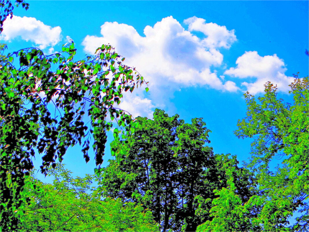 ВЕСНА - Юрий Владимирович 34 ВЕСНА - Юрий Владимирович 34