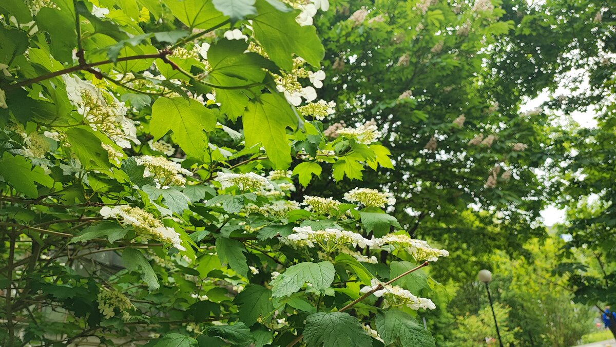 ,,, - Сергей Тимоновский ,,, - Сергей Тимоновский