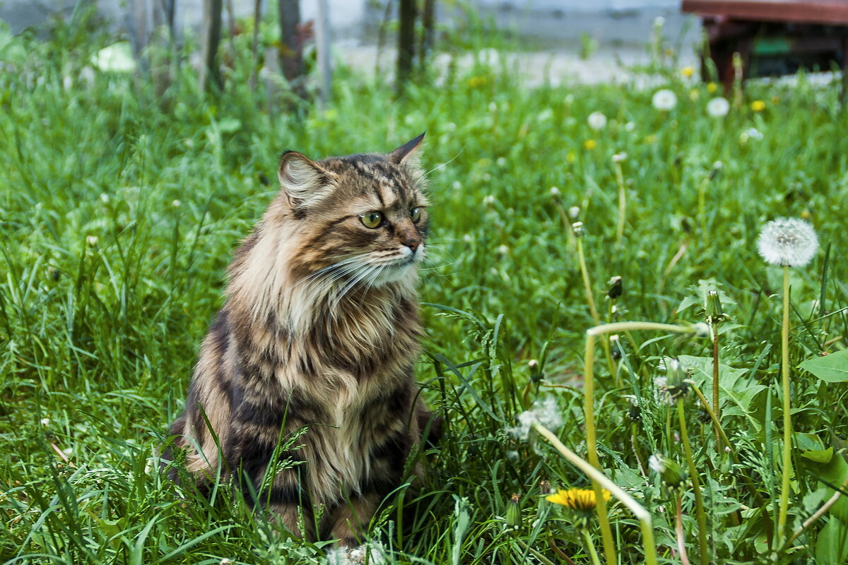 Всматриваясь в даль - Елена Пономарева