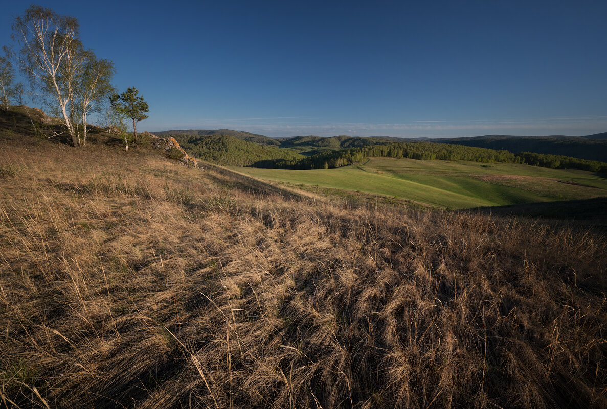 * - Александр Иванов * - Александр Иванов