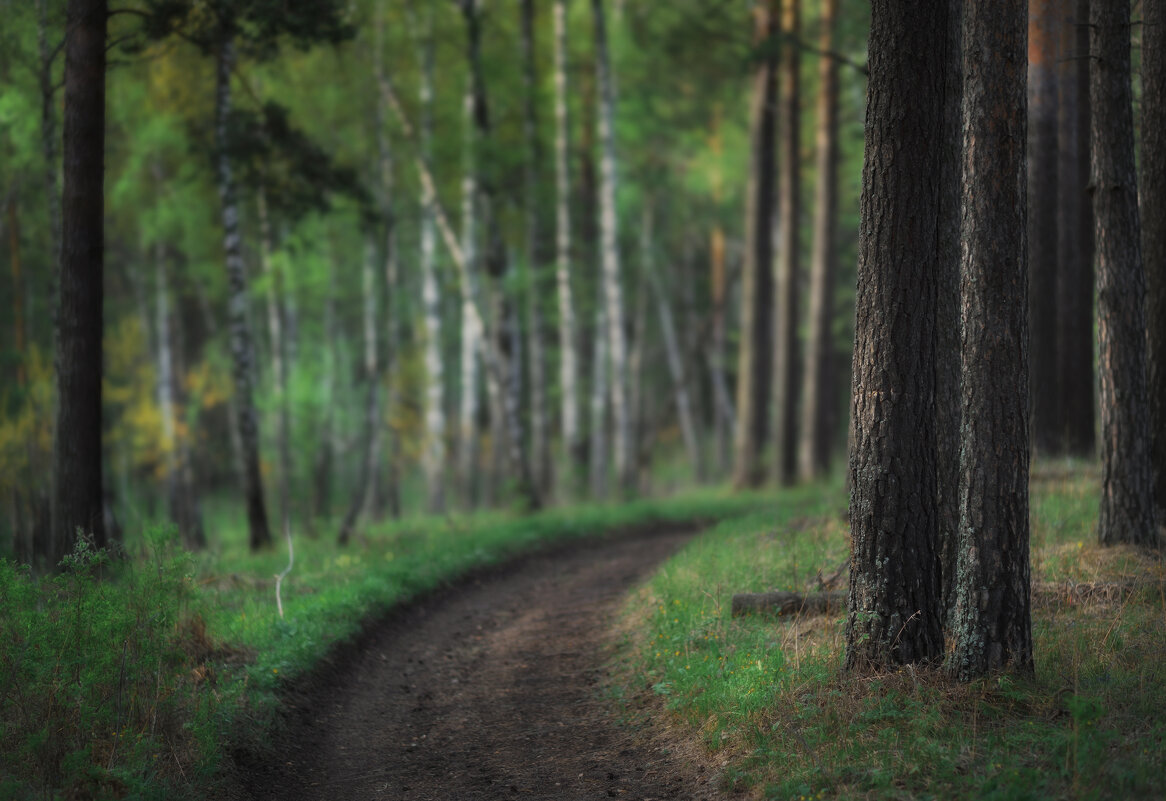 * - Александр Иванов