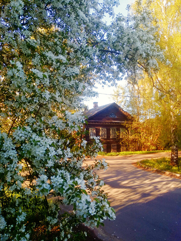 Весений день - Сергей Кочнев
