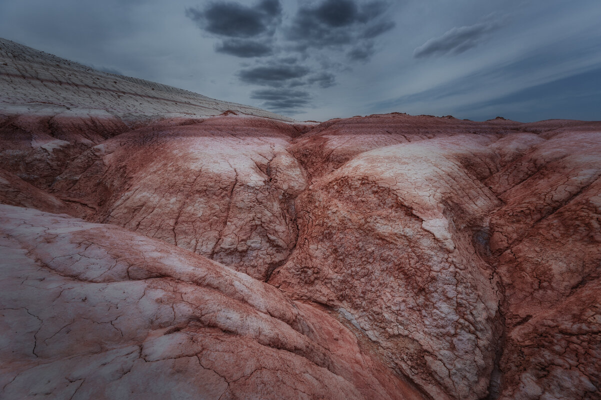 Шрамы земли - Дмитрий Шишкин Шрамы земли - Дмитрий Шишкин