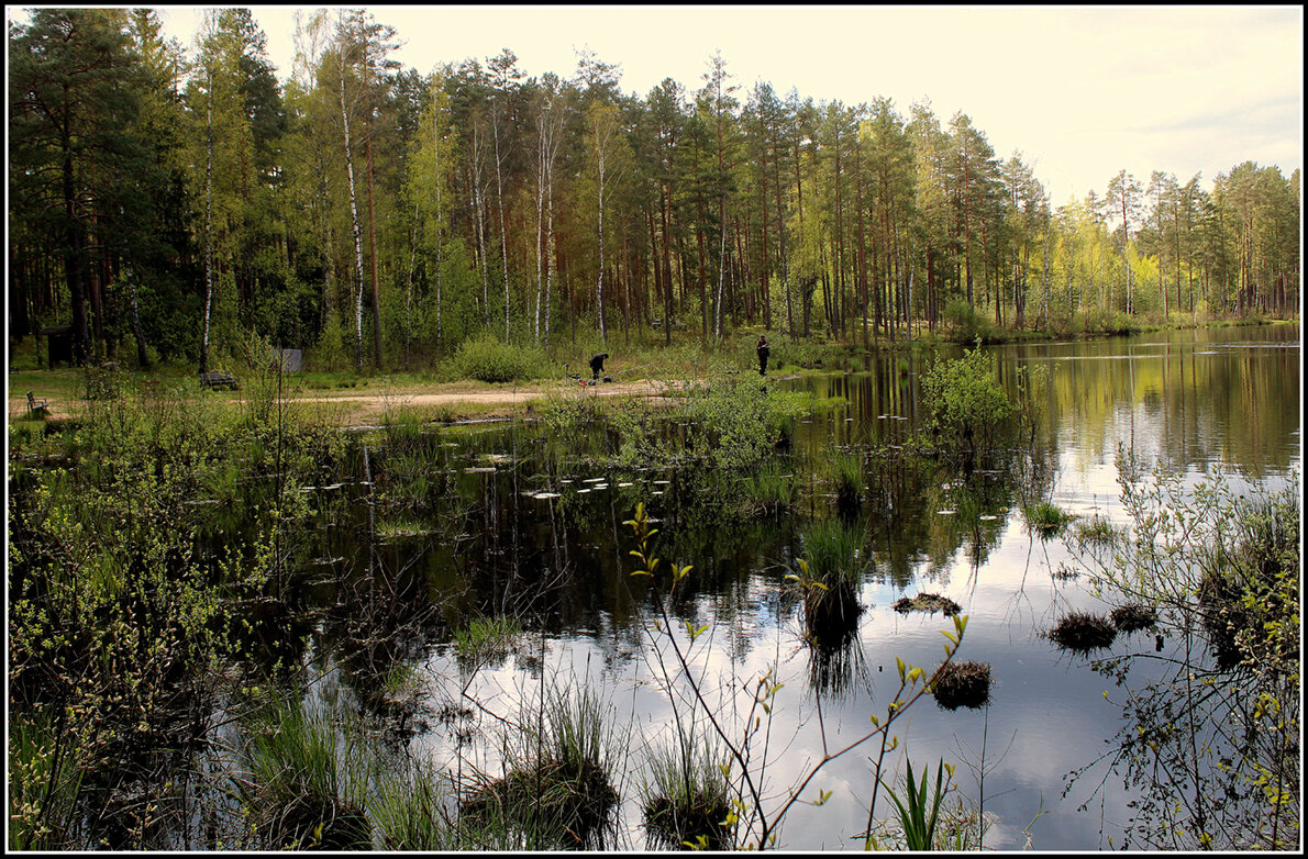На озере... - Aleksandr Gal