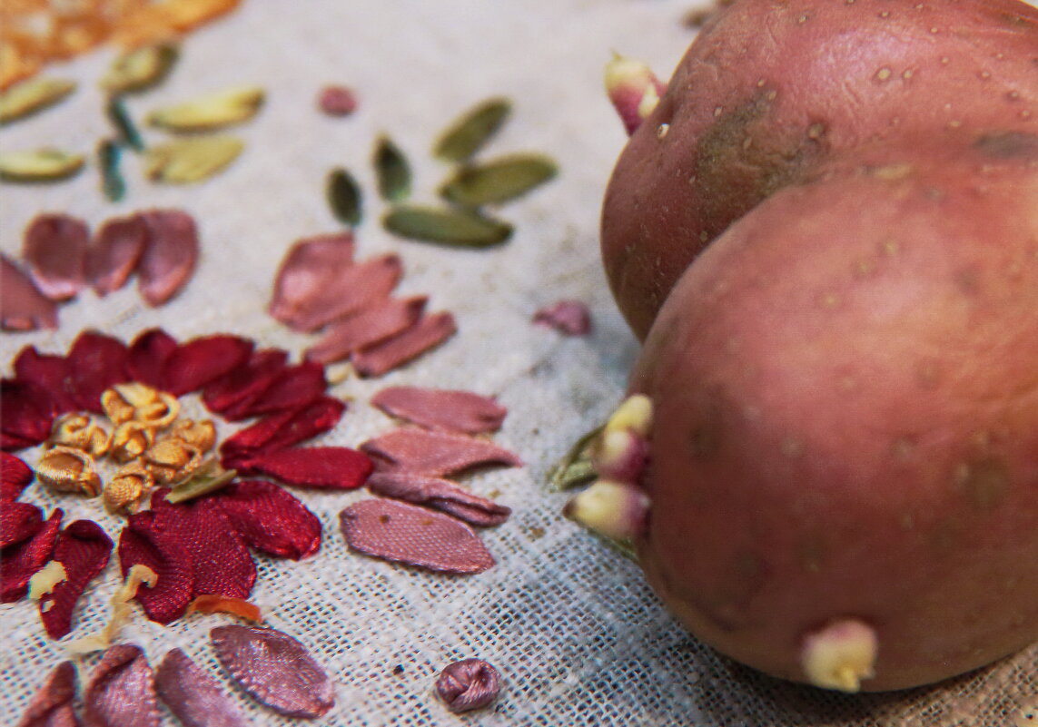 -----Золотая - AL Reborn 