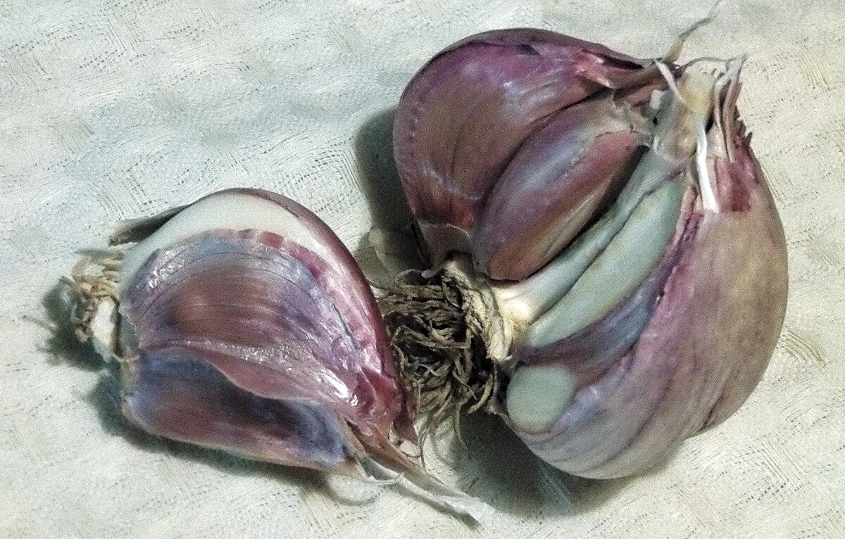 Прошлогодний... - Елена Прошлогодний... - Елена