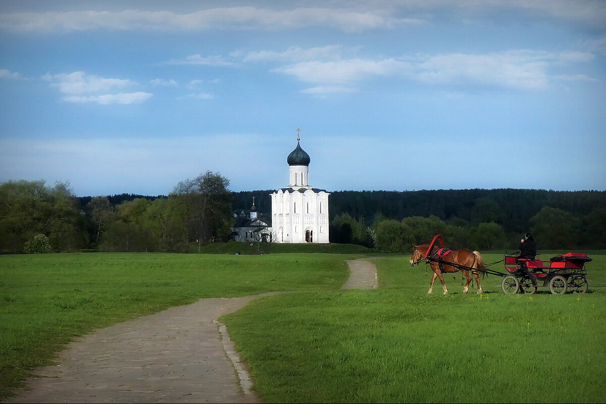 Над лугом царила тишина... - Владимир Шошин Над лугом царила тишина... - Владимир Шошин