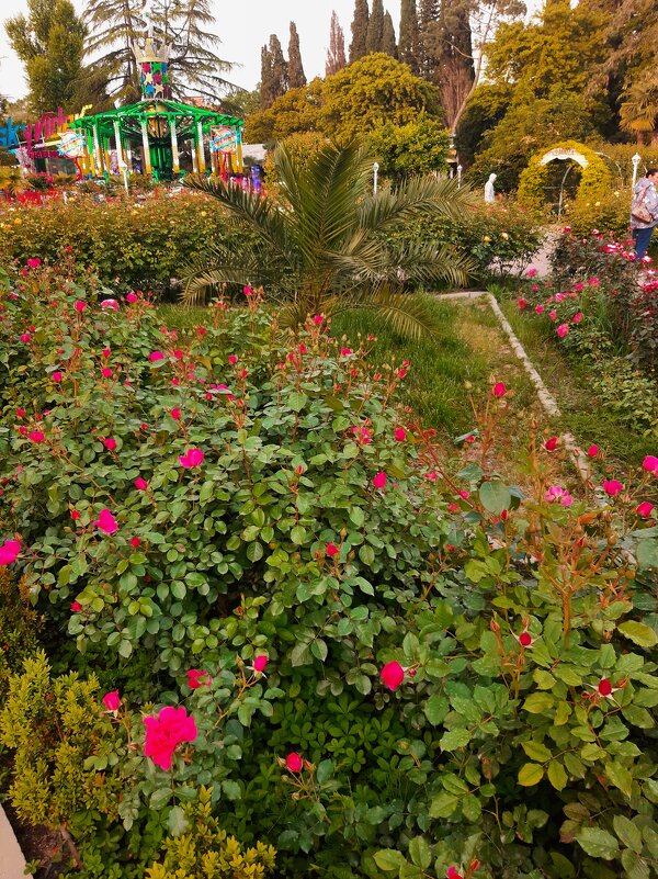 РИВЬЕРА - Tata Wolf РИВЬЕРА - Tata Wolf