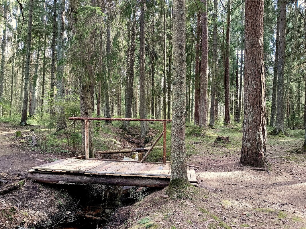 Окрестности дачи Габерцетеля - Мария Васильева Окрестности дачи Габерцетеля - Мария Васильева