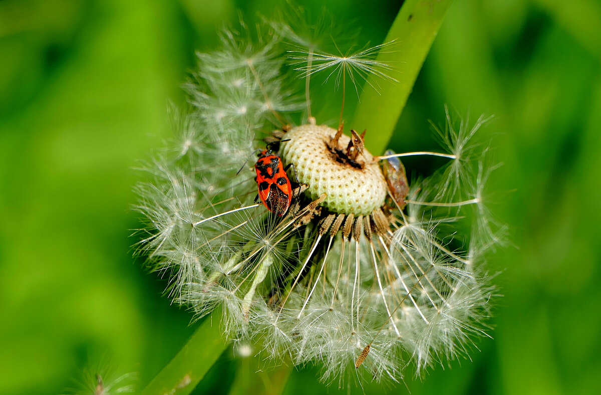 из вчерашней съемки 3 - Александр Прокудин из вчерашней съемки 3 - Александр Прокудин