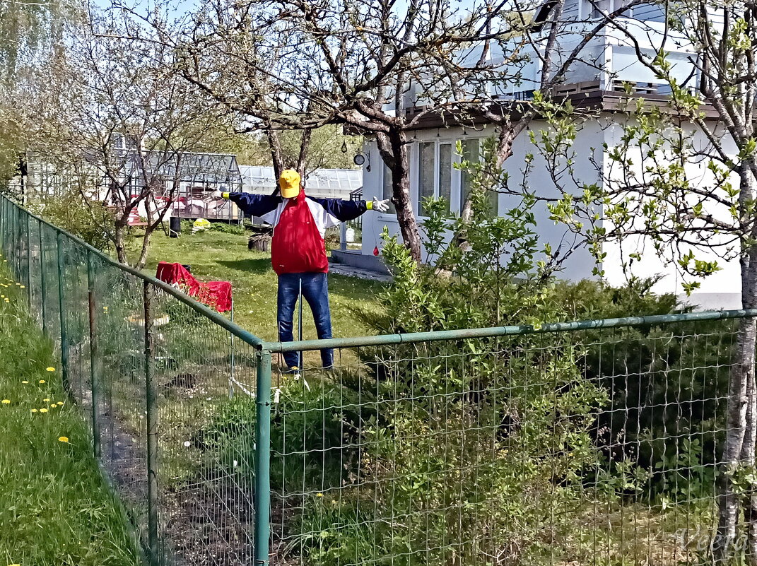 Новый охранник ) - Veera V Новый охранник ) - Veera V