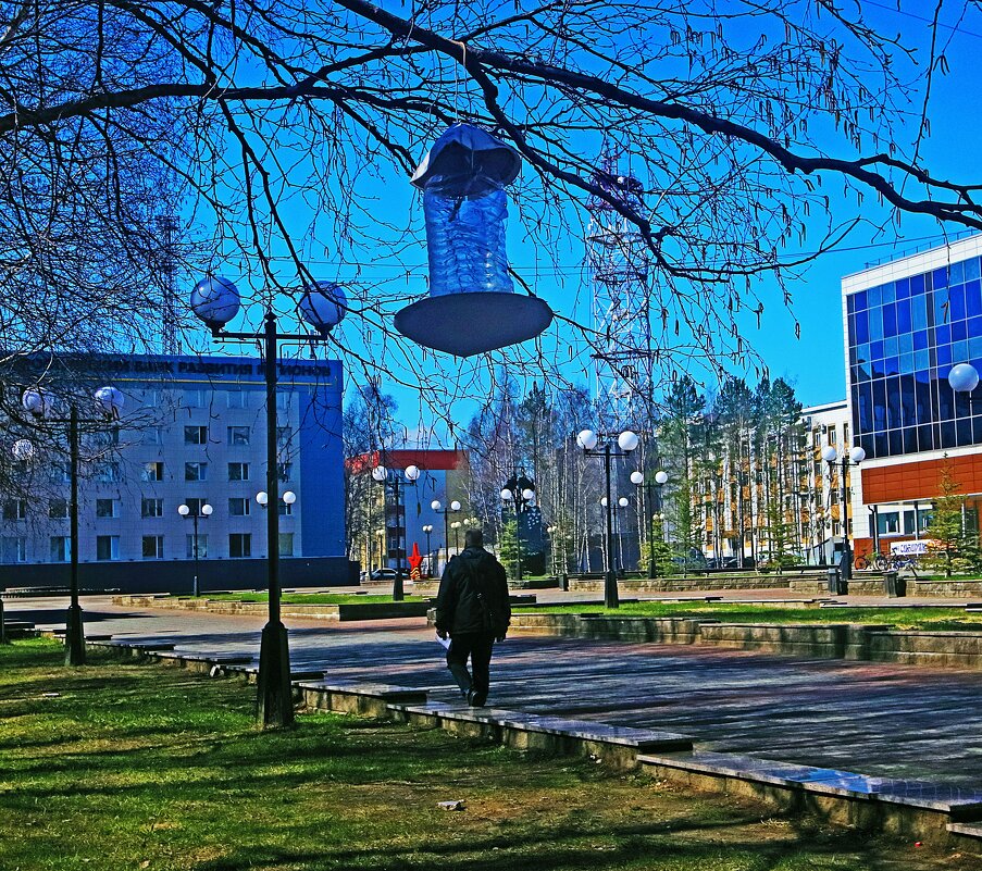 Май...Этюд с птичьей кормушкой! - Владимир 