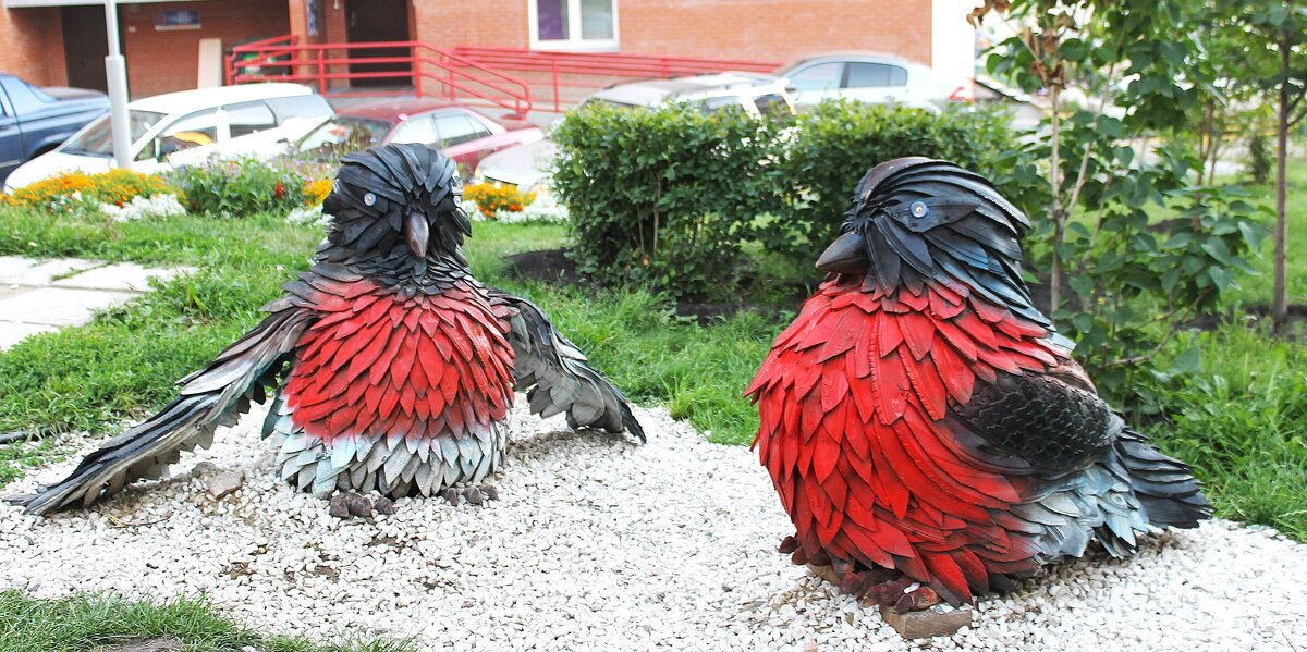 А у нас во дворе.. - Василий А у нас во дворе.. - Василий