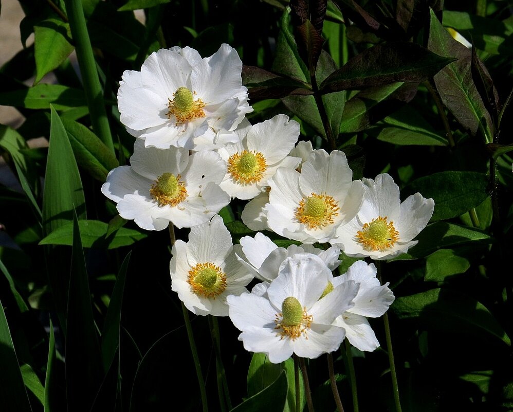 *** - Natali *** - Natali