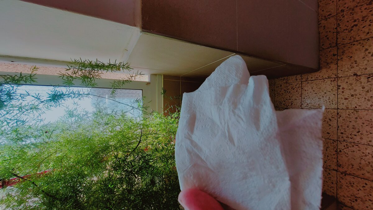 13  ОПЕН (50) - OPEN WAYS ALL