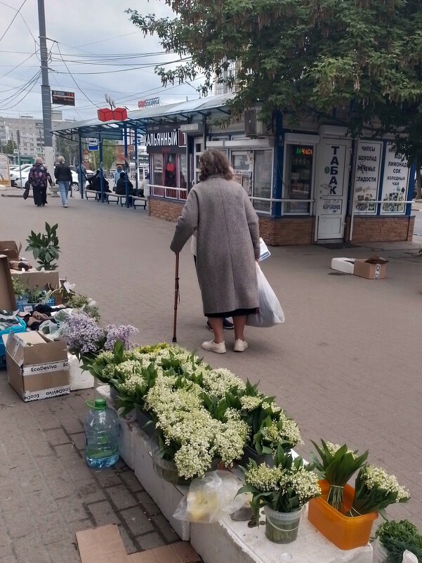 *** - Валентина Береснева *** - Валентина Береснева