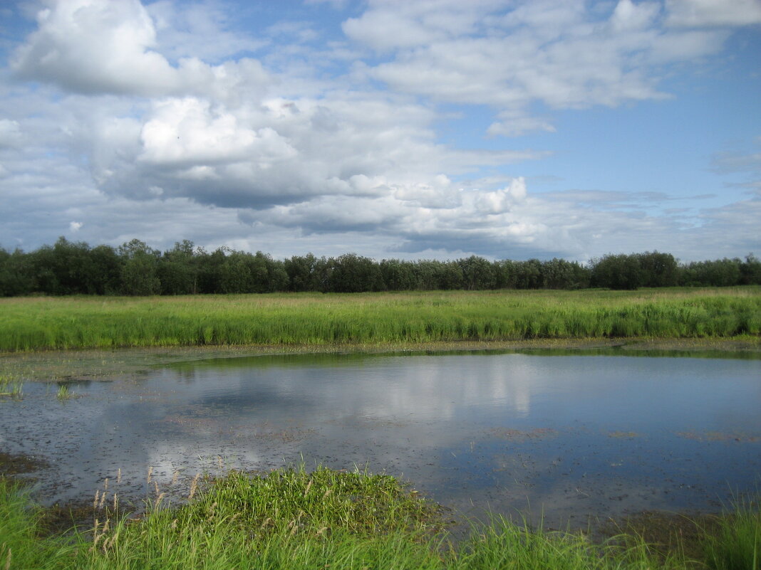 Лето - Anna Ivanova