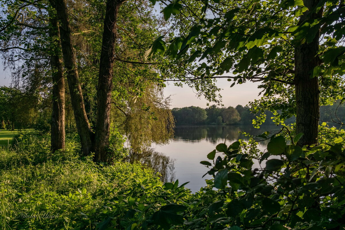 Майское... - Николай Гирш Майское... - Николай Гирш