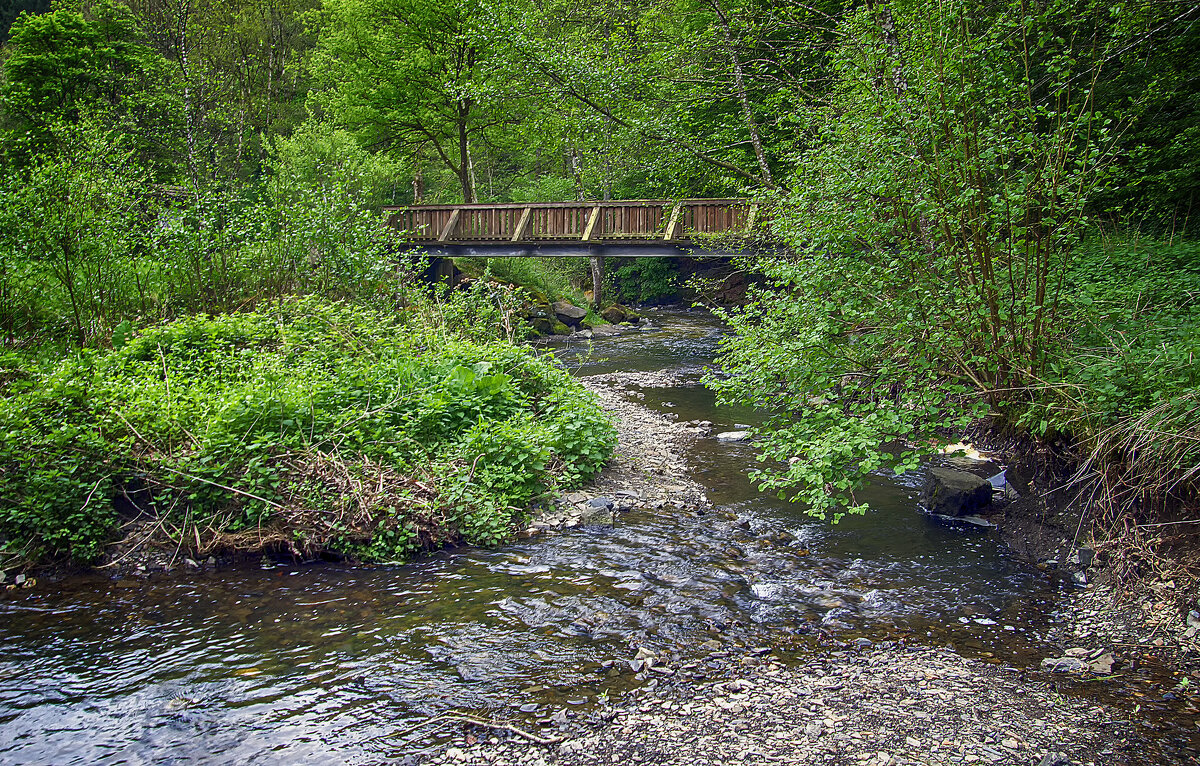 ***** - Андроник Александр ***** - Андроник Александр