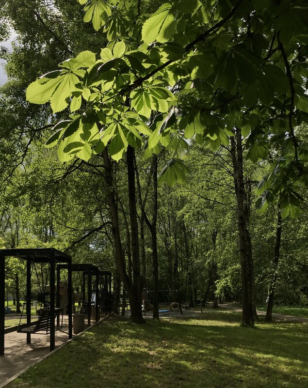 У дома. - Любовь У дома. - Любовь