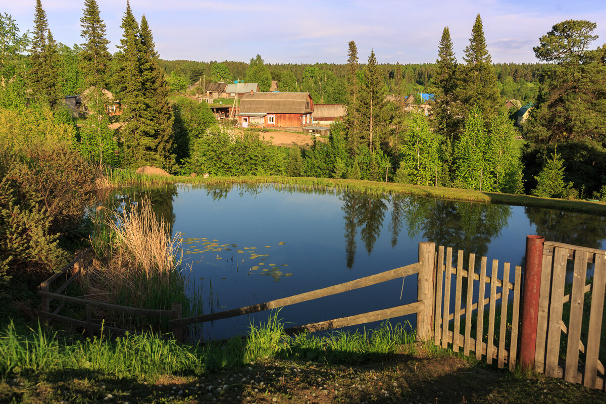 Сельский пруд - Сергей Винтовкин