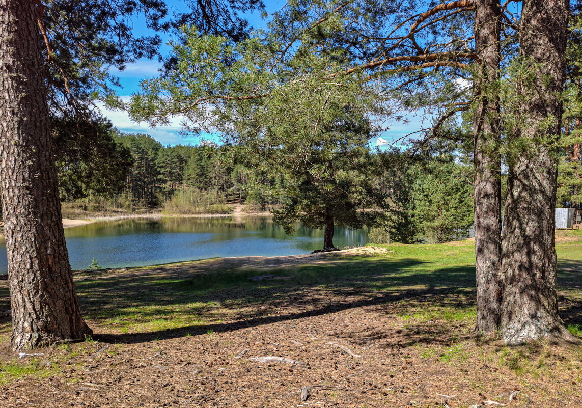 Весны прекрасные мгновения - Serega  