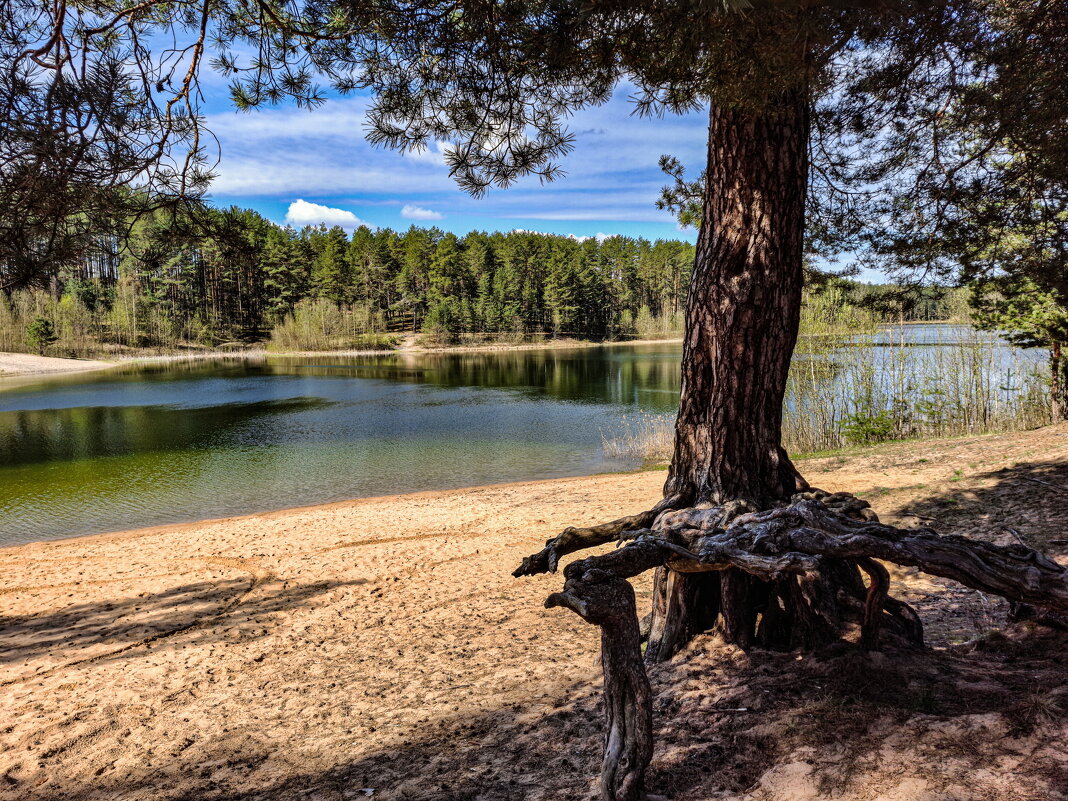 Весны прекрасные мгновения - Serega  