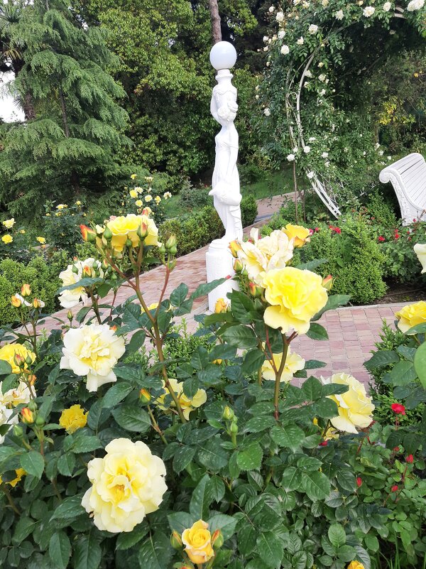 РИВЬЕРА - Tata Wolf