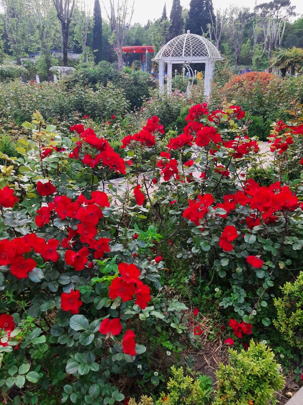 РИВЬЕРА - Tata Wolf РИВЬЕРА - Tata Wolf