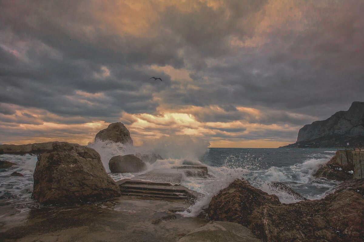 Вечер в Ласпи - Виктор 
