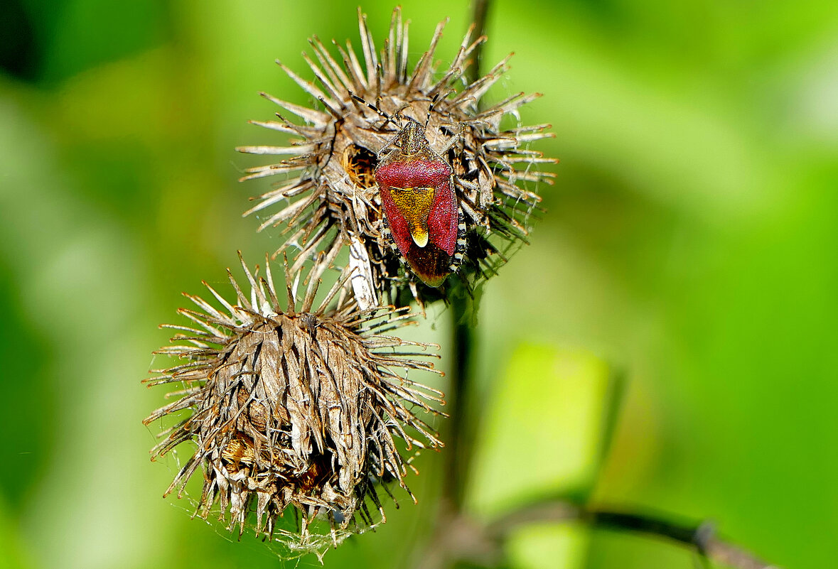 из позавчерашней съемки 3 - Александр Прокудин из позавчерашней съемки 3 - Александр Прокудин