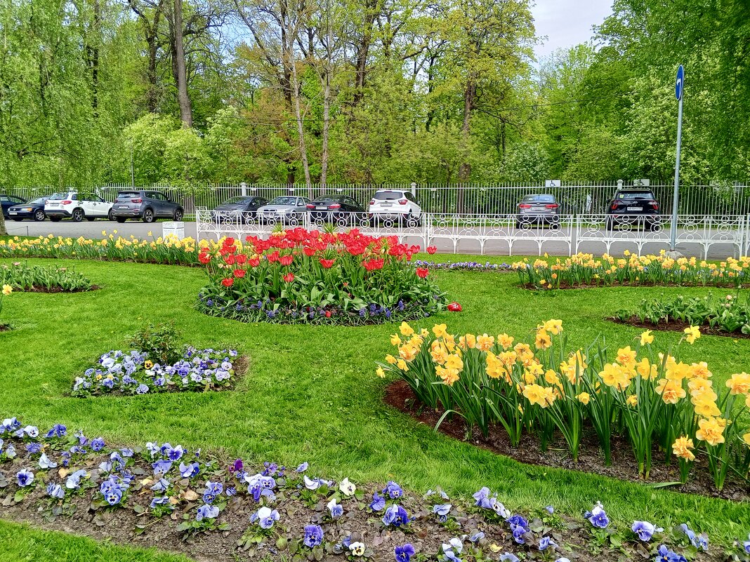 Весна - Сапсан 