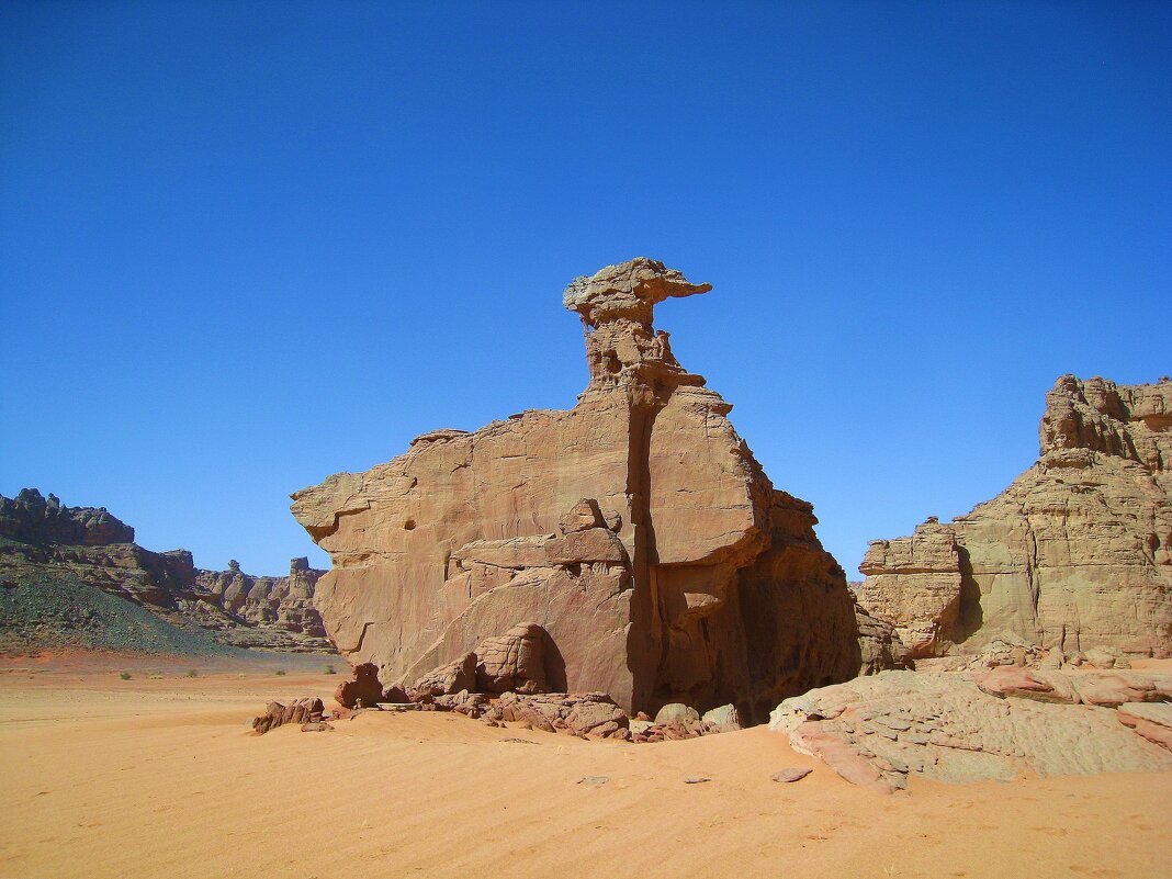 Утиный камушек в пустыне Сахара. - unix (Илья Утропов)