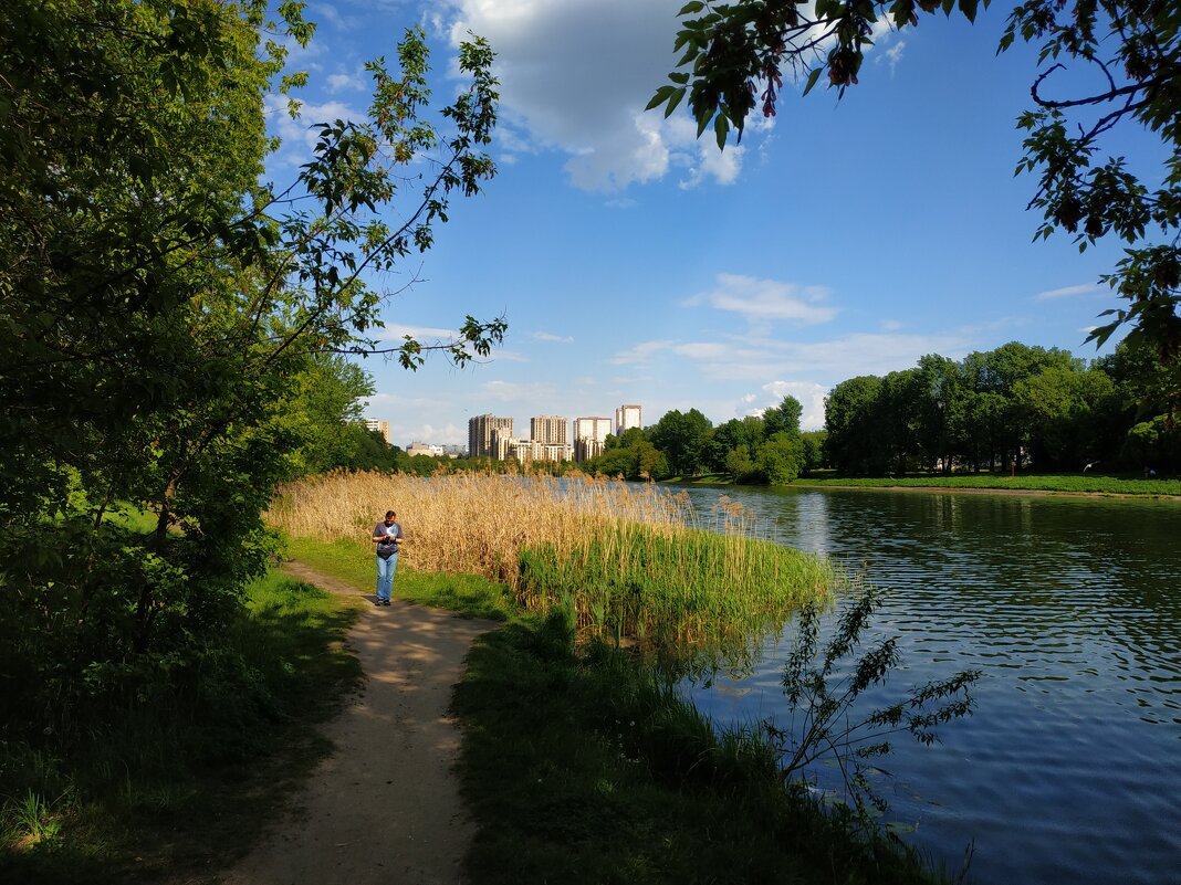 Отправляясь на природу, главное - не забыть смартфон. - Андрей Лукьянов Отправляясь на природу, главное - не забыть смартфон. - Андрей Лукьянов