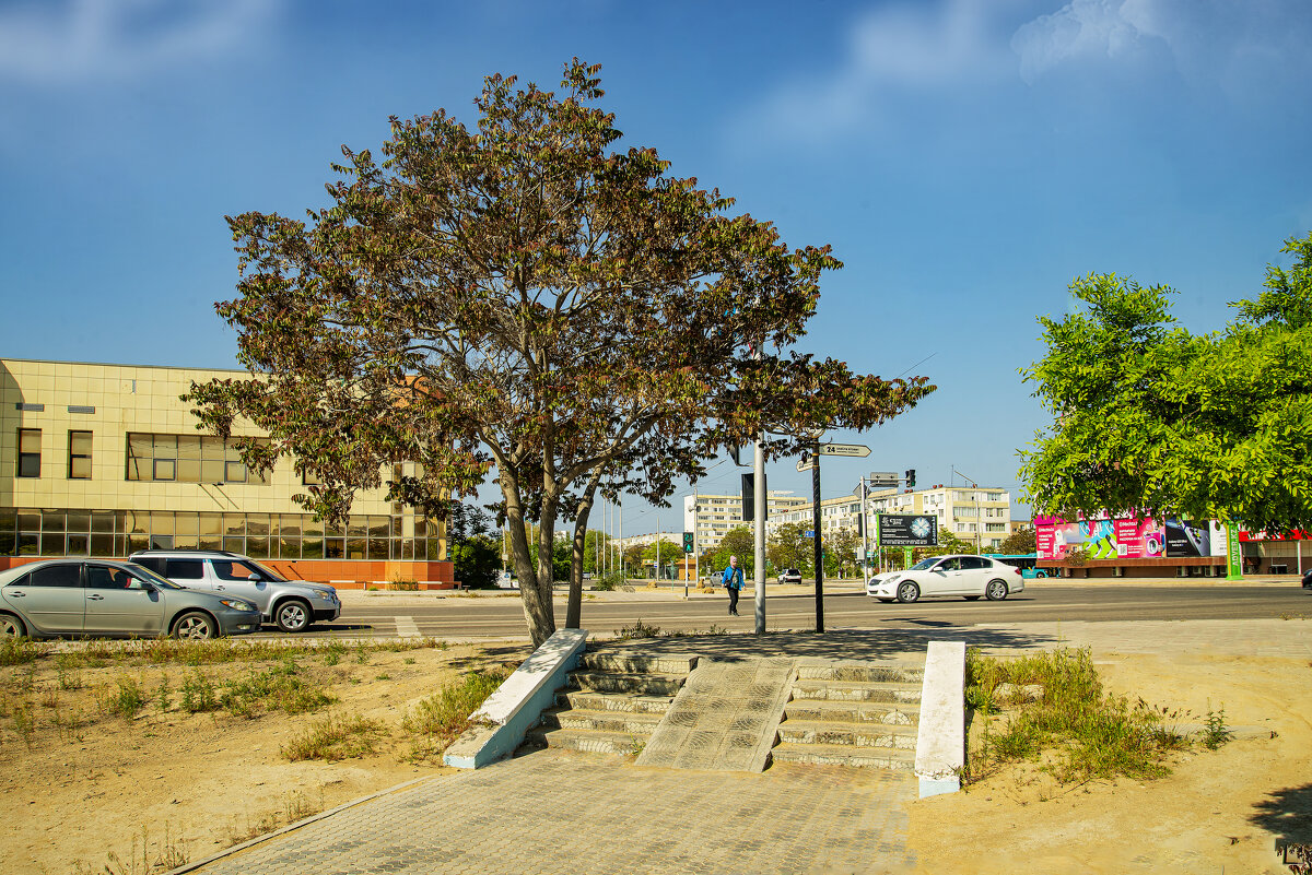 Лесенка - Анатолий Чикчирный