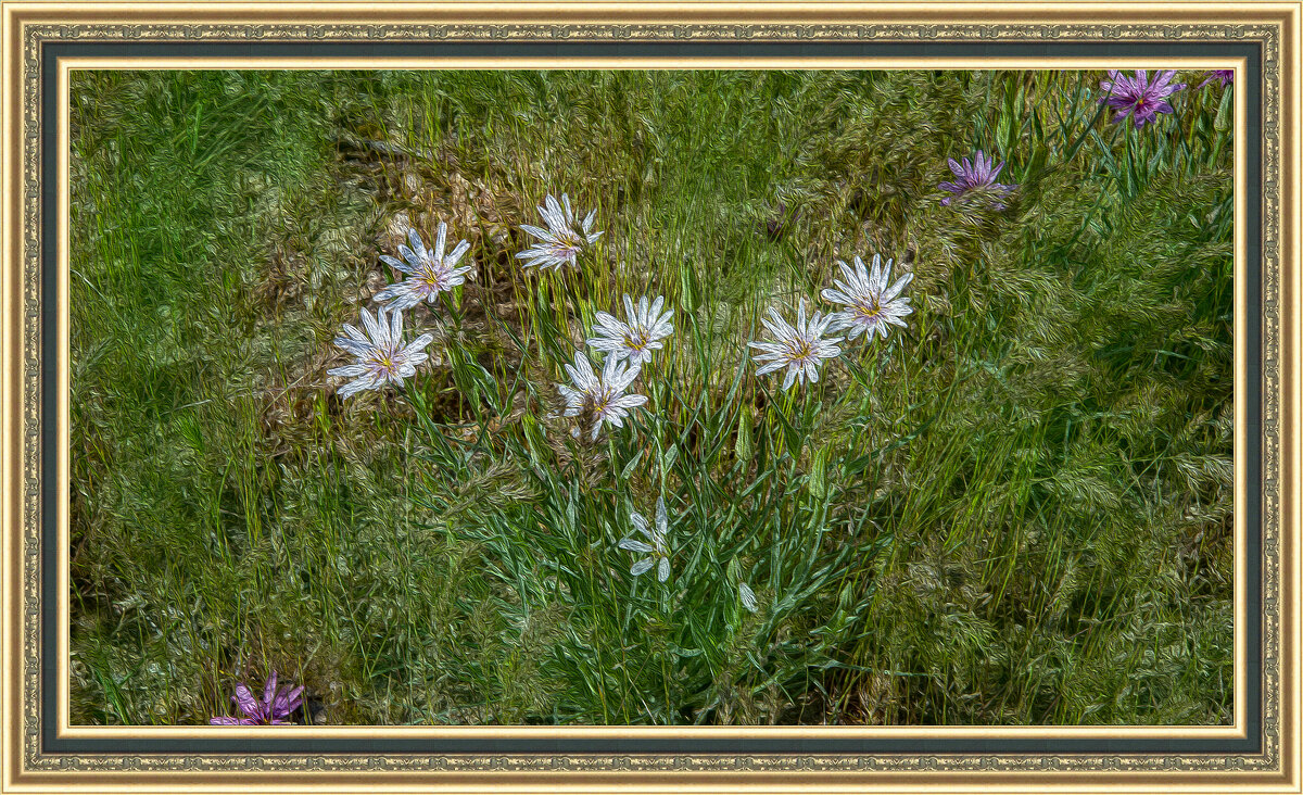 Козлобородник - Анатолий Чикчирный Козлобородник - Анатолий Чикчирный