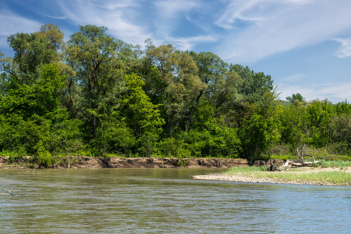 Река Кубань - Игорь Сикорский