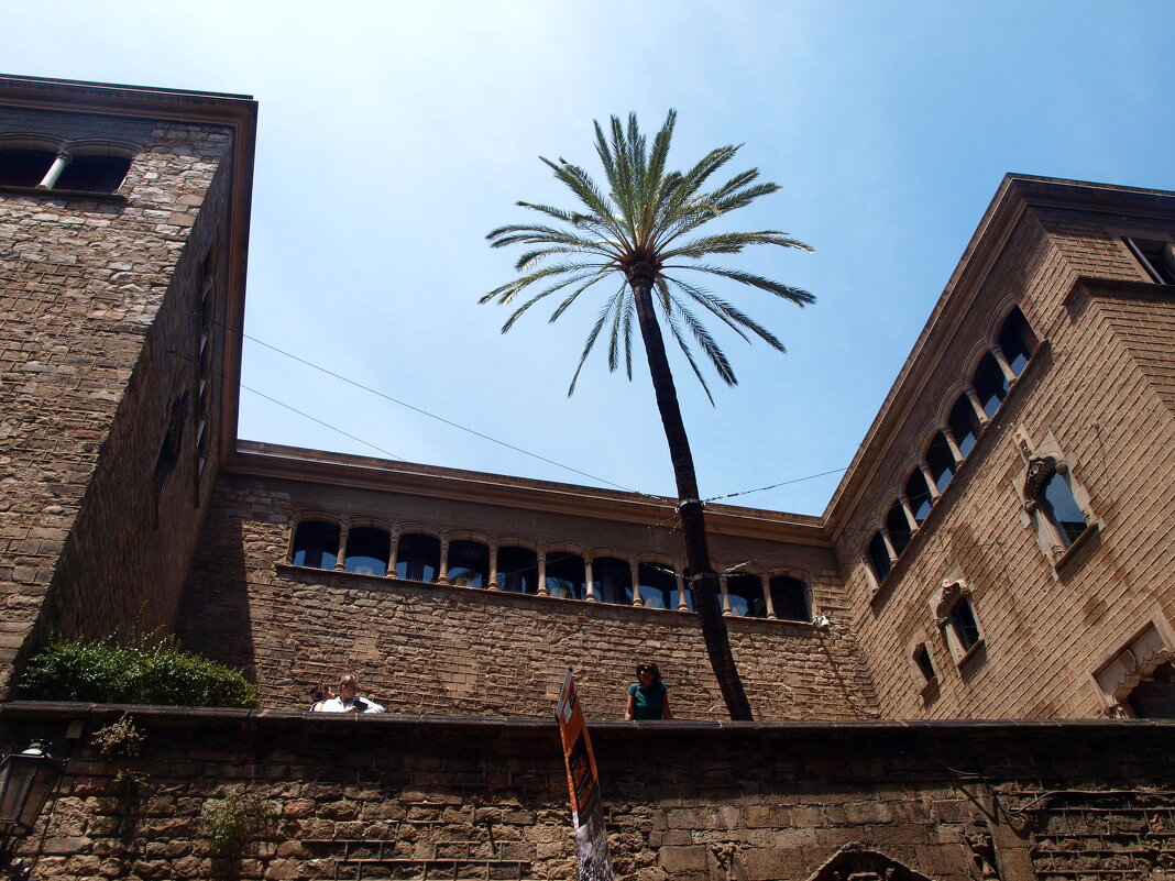 Барселона. - Владимир Драгунский Барселона. - Владимир Драгунский