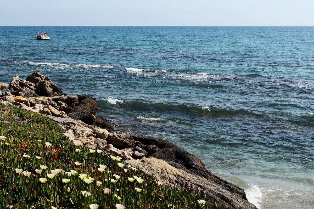 Берег - Юрий. Шмаков Берег - Юрий. Шмаков