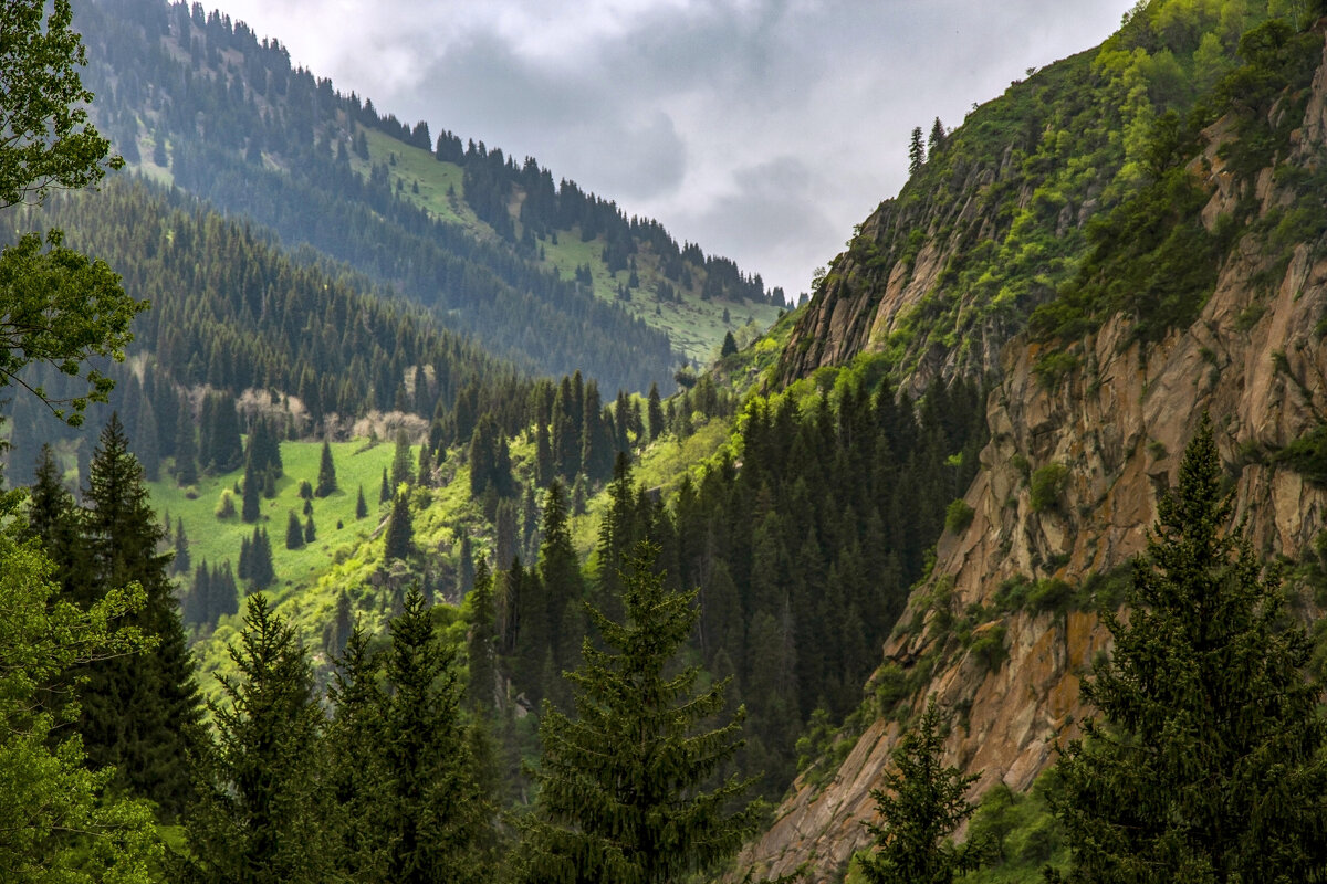 На дальнем склоне - LudMila 