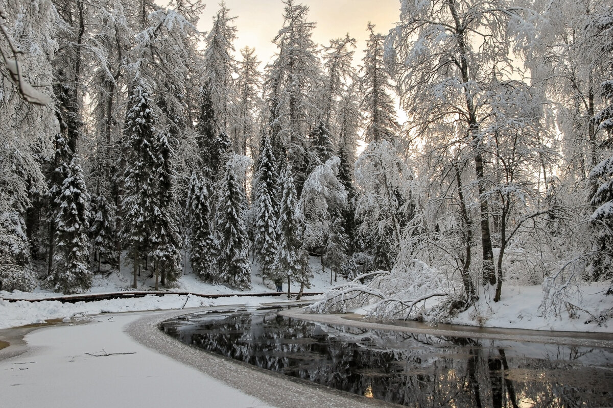 Линдуловская роща - skijumper Иванов Линдуловская роща - skijumper Иванов