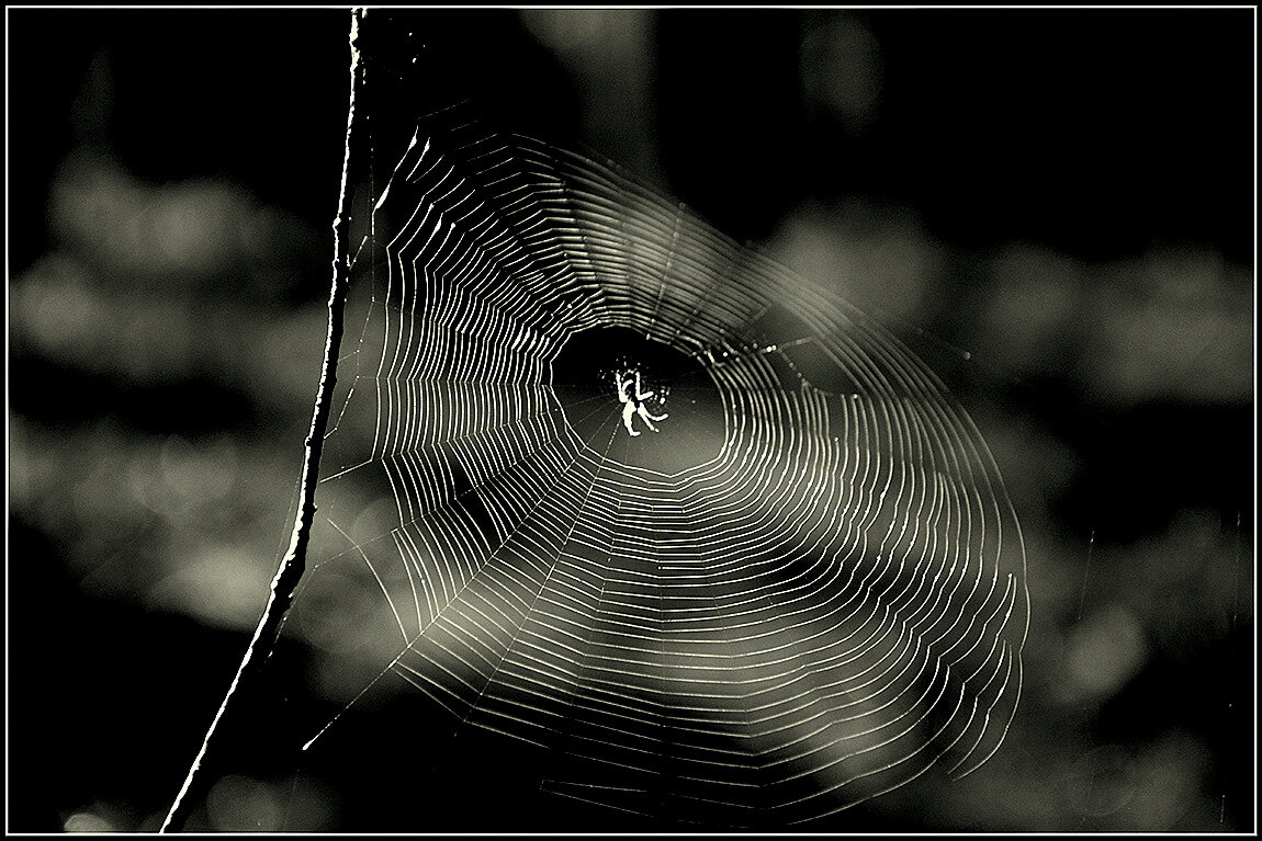 Пластинки крутится диск... - Aleksandr Gal