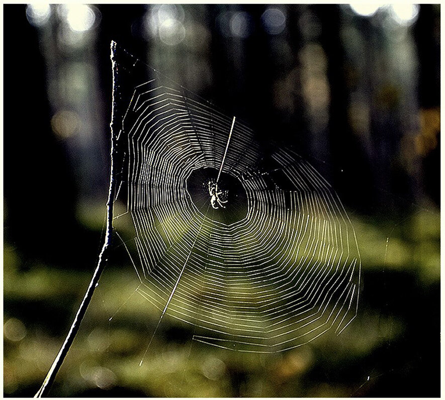 Пластинки крутится диск... - Aleksandr Gal