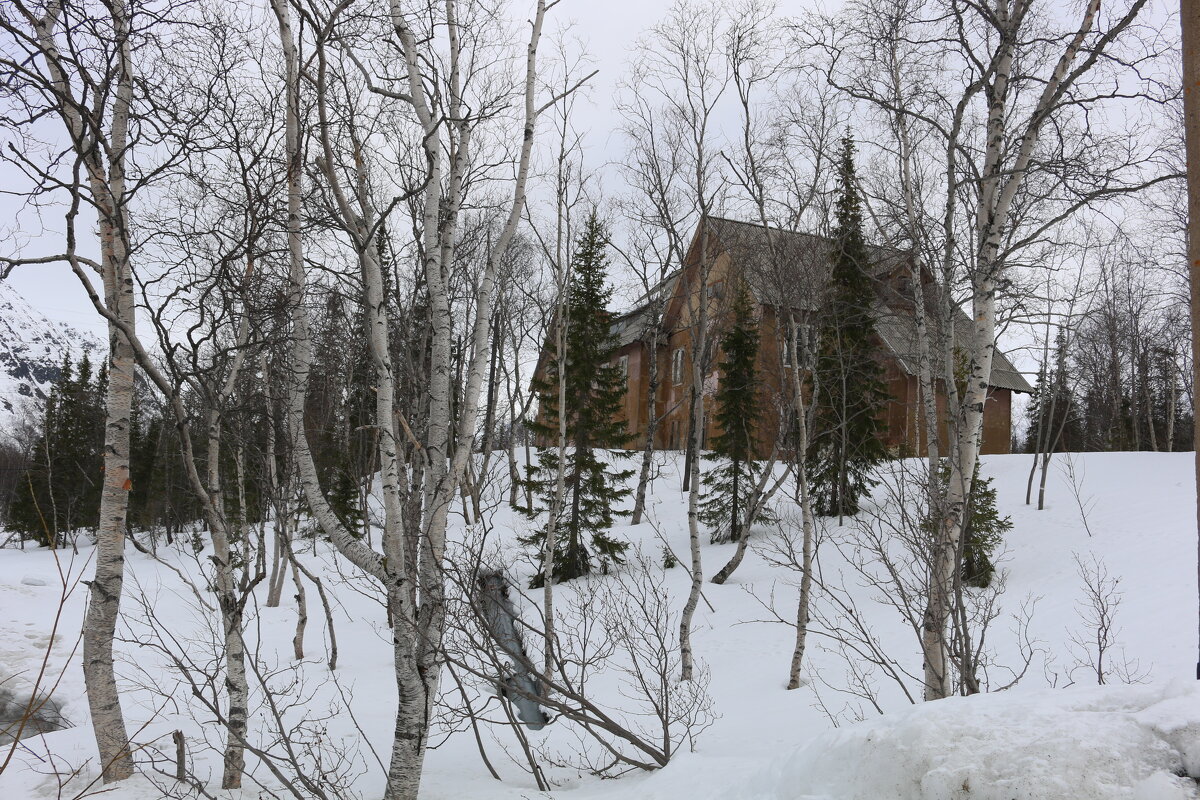 Весна в ботаническом саду - Ольга 