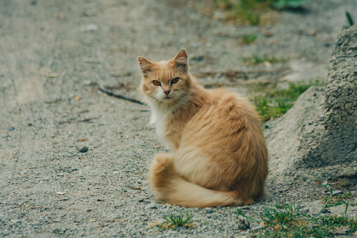 Крым. Гурзуф. Май 2025 - Вячеслав Владимирович